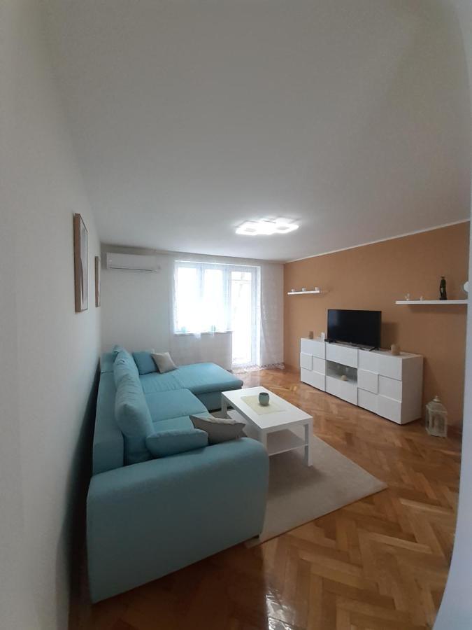 סרמסקה מיטרוביקה Apartman Jovana מראה חיצוני תמונה